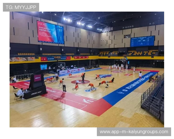 篮球在中国大学生成长记录片中的文化象征意义，关于篮球的纪录片